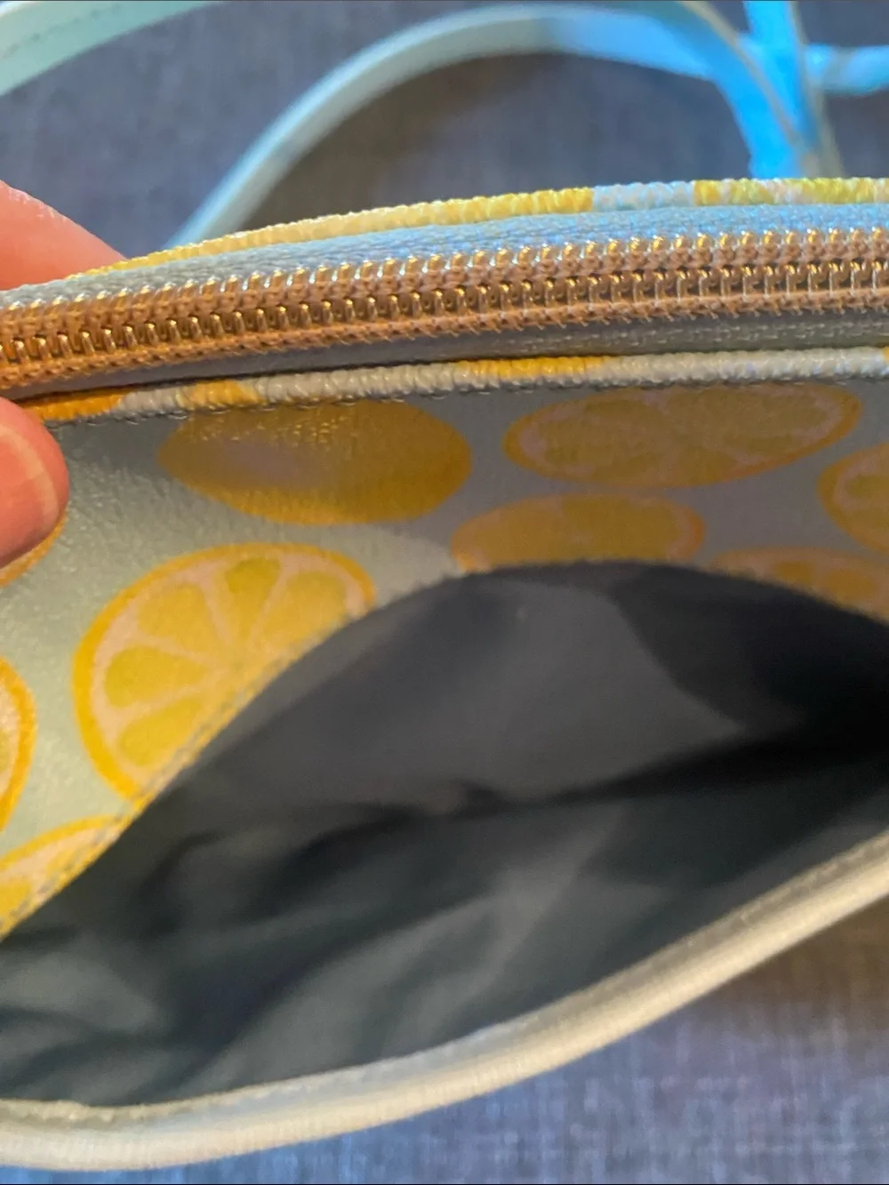 Dooney & Bourke Light Blue Lemon Small Crossbody Bag - 9